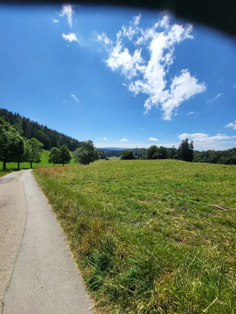 Patrick_La Grande Sagneule_Rochefort_review