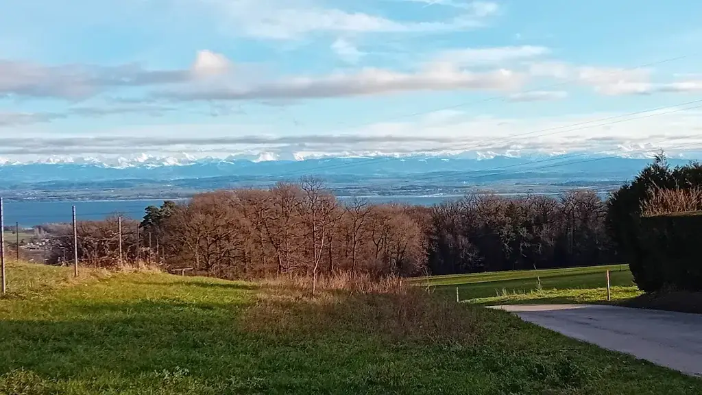 Restaurant le Pré-Vert_Rochefort_slider_image_2