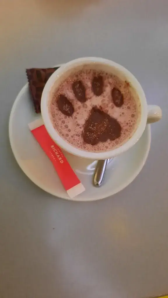 Menu_Au patio_Langeac_image_4