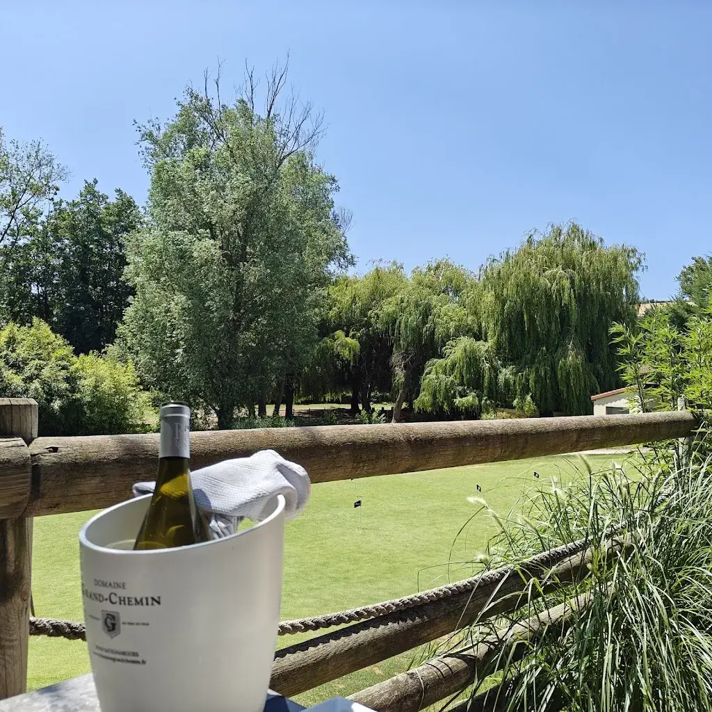 Helen E_Le bistronome_Crest_review