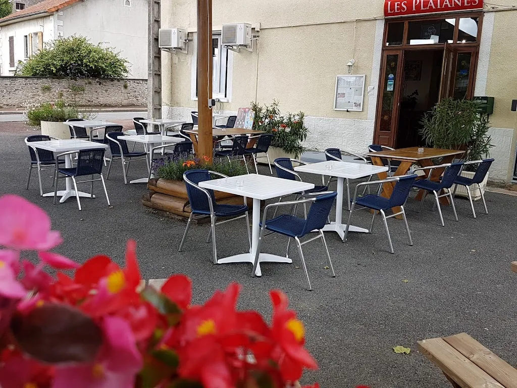 Bar Restaurant Les Platanes restaurant in Saint-Claud