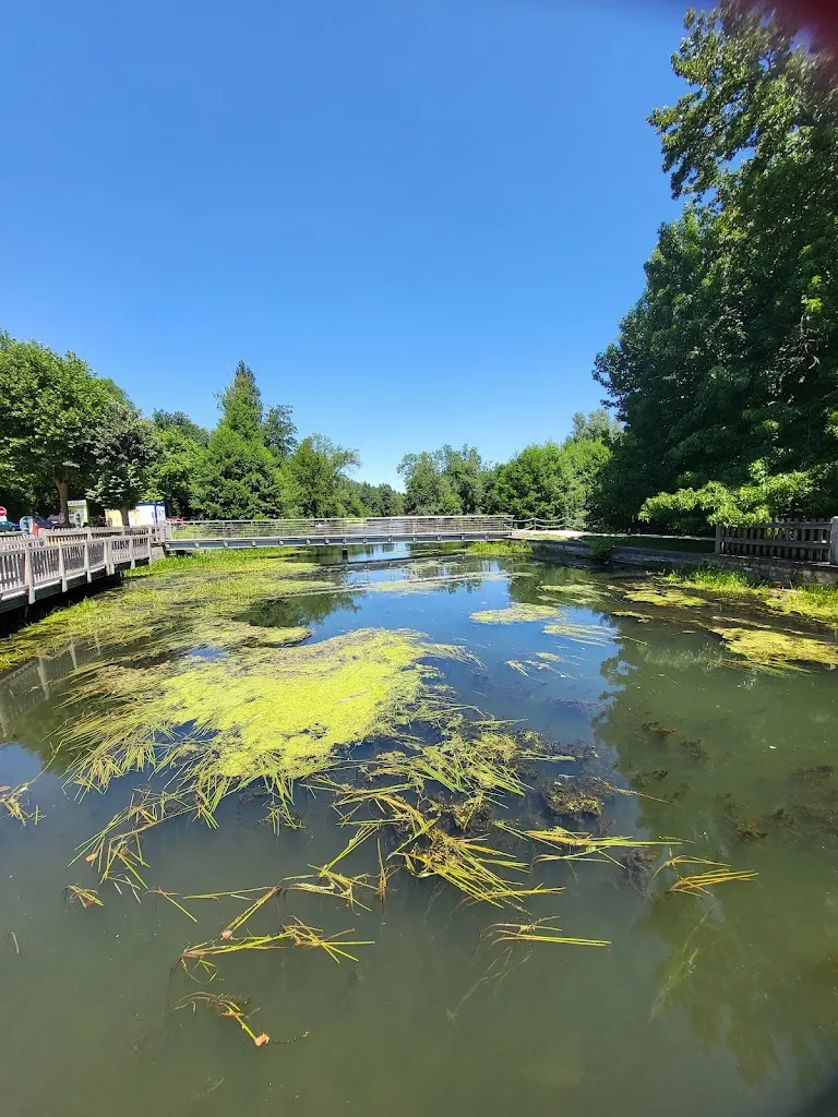 Elizabeth Collins_Restaurant Le Réjallant_Condac_review