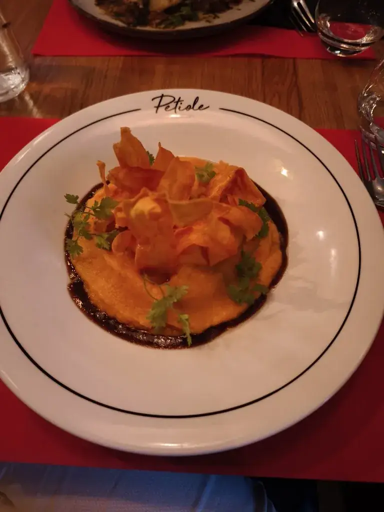 E2gjn GjnE2_Petiole_Saint-Martin-de-Seignanx_review