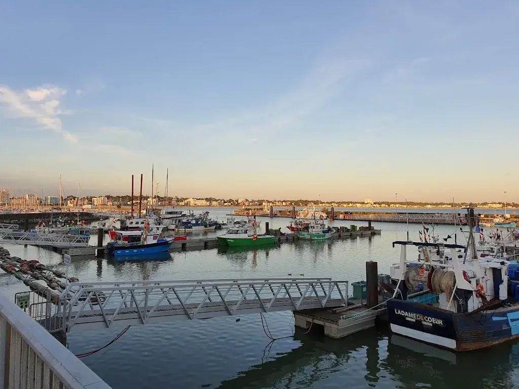 Bob Beelen_Le Mogador_Royan_review