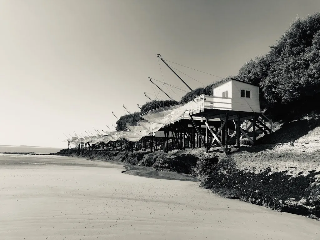 Tim Griffiths_Le Pas Sage_Royan_review