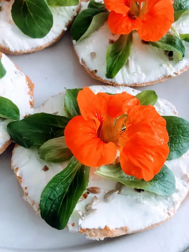 Menu_Une cuisine dans ma rue_Royan_image_7