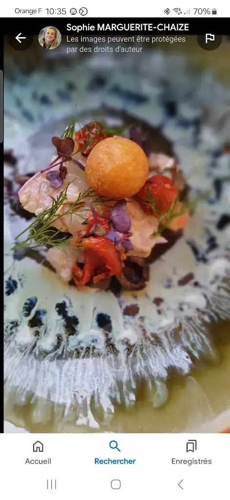 L'Avocette_Royan_slider_image_2