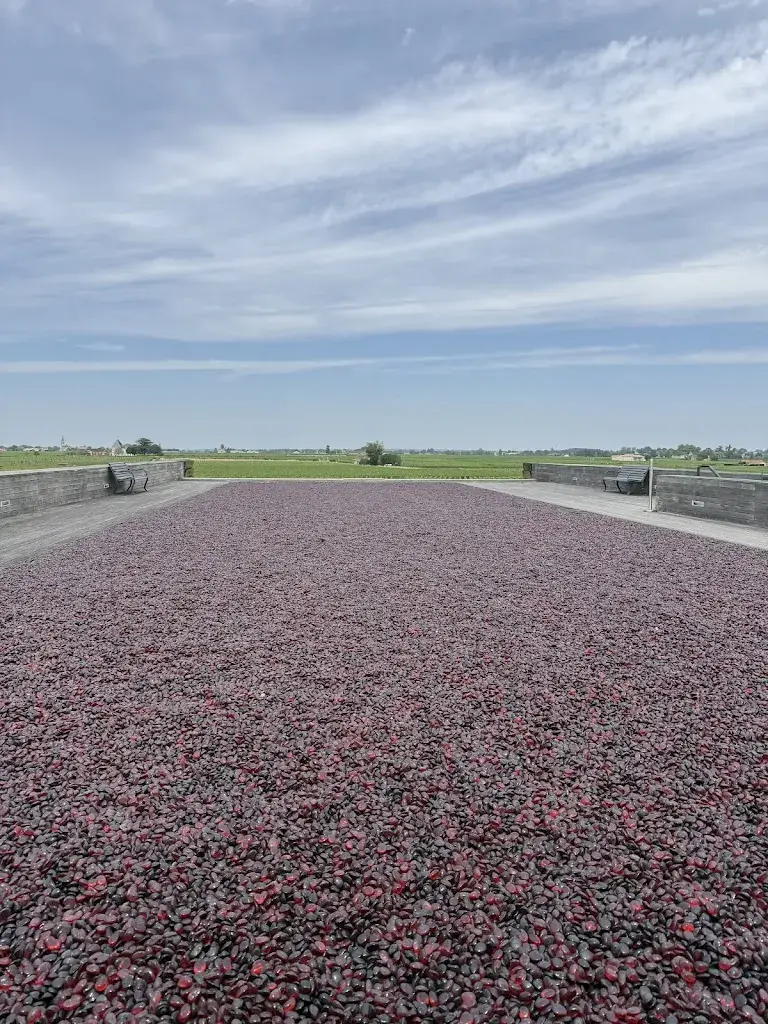 clive stanton_La Terrasse Rouge_Saint-Émilion_review