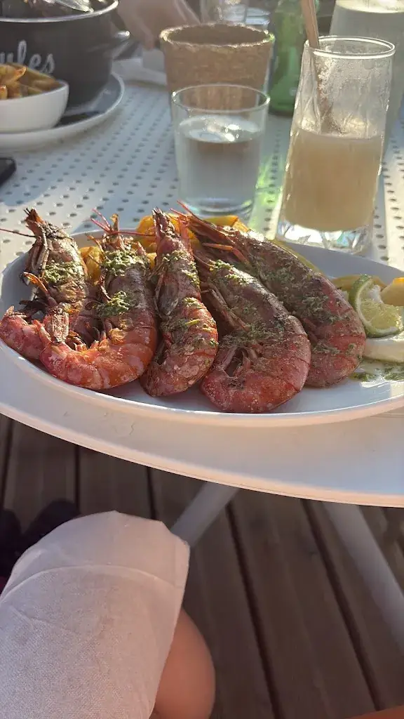 Emily Newton_Le Caliente_Saint-Cyprien_Bewertung