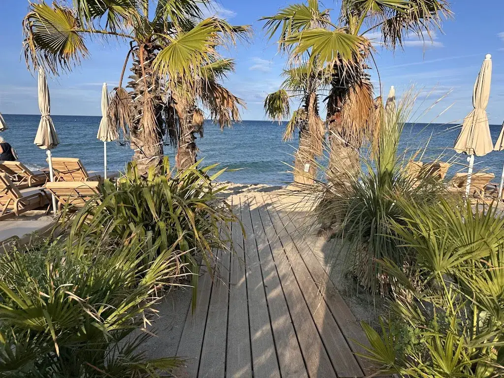 Jedd Hart_Le Caliente_Saint-Cyprien_Bewertung