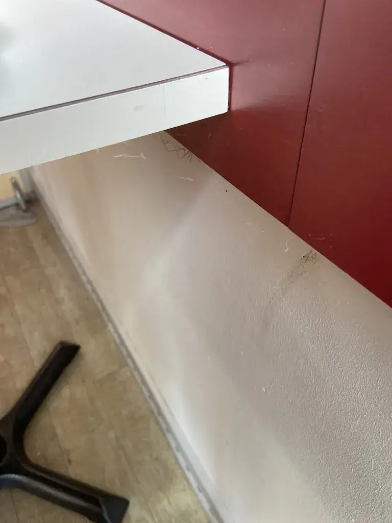 Emilie Albert marques_Cafétéria du Thouet_Thouars_review