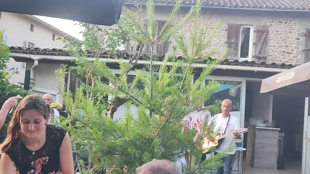 Marie-Chri Lrnt_Le Saint Jouvent_Saint-Jouvent_review