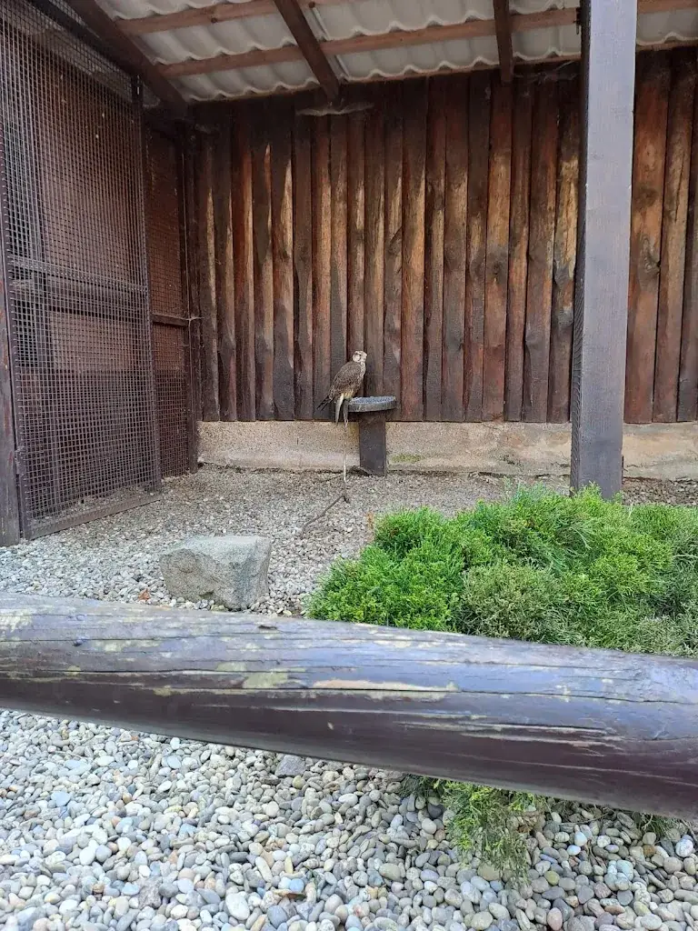 Nanou_Le Marché Du Château_Saint-Hippolyte_review