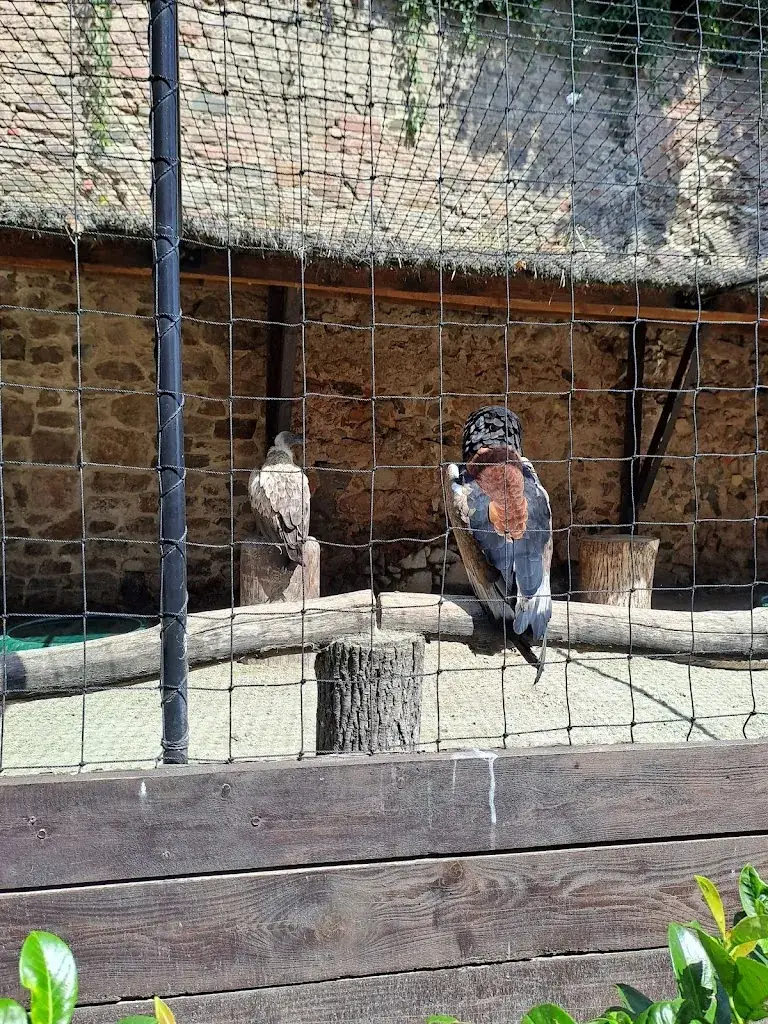 Le Marché Du Château_Saint-Hippolyte_slider_image_2