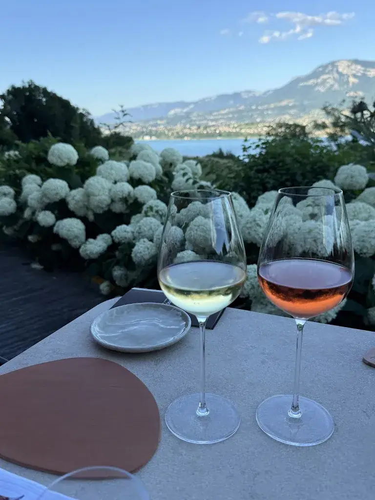 Patrick Burrows_Atmosphères_Bourget-du-Lac_review