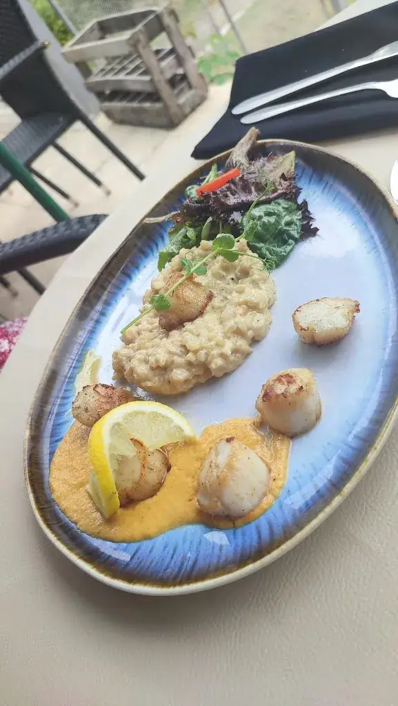 louis macor_La Grillade Au Bois_Camps-sur-l'Isle_review