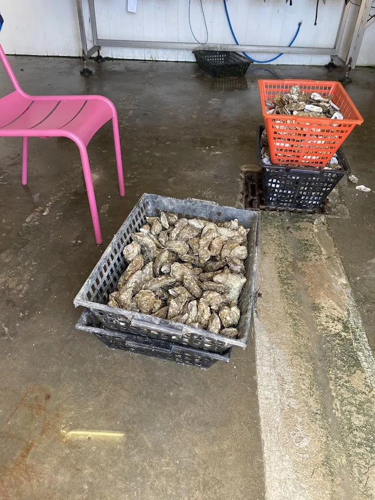 Menu_Ré Ostréa_Saint-Martin-de-Ré_image_7