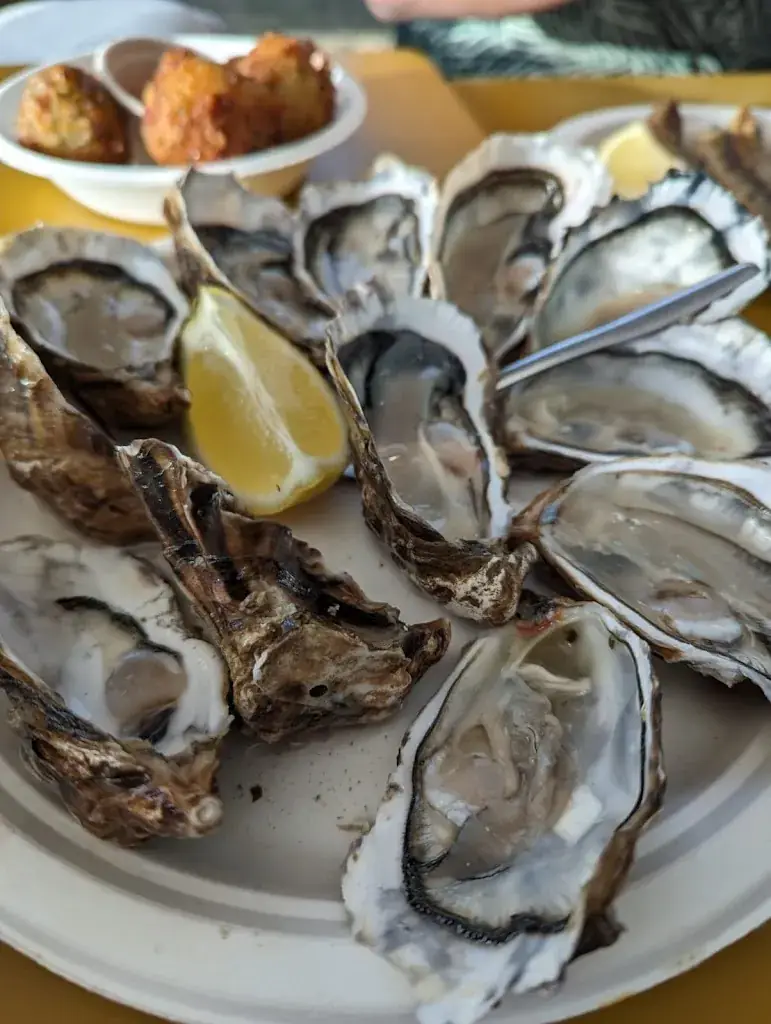 F N_Ben-Hur Char a Huitres_Saint-Martin-de-Ré_review