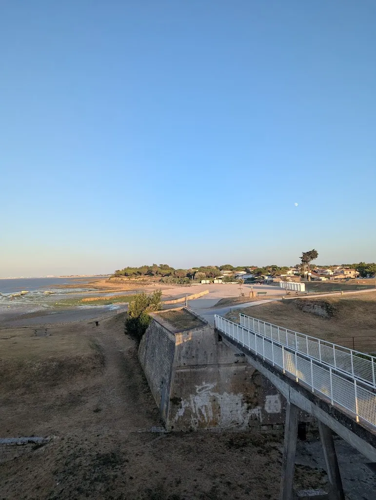 Dion Jones-Bauer_La Cible_Saint-Martin-de-Ré_recensione