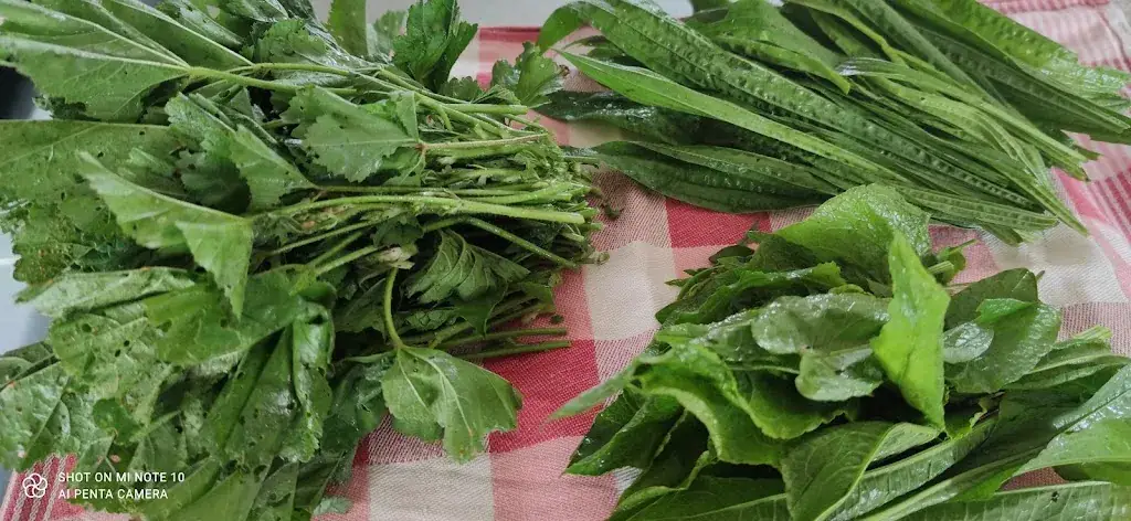 Menu_Chez Mama_Saint-Perdon_image_8