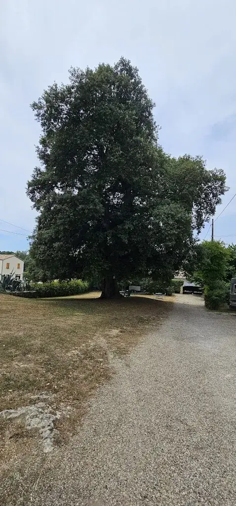 Etienne Coquinot_The Gourmet Baron_Baron_review