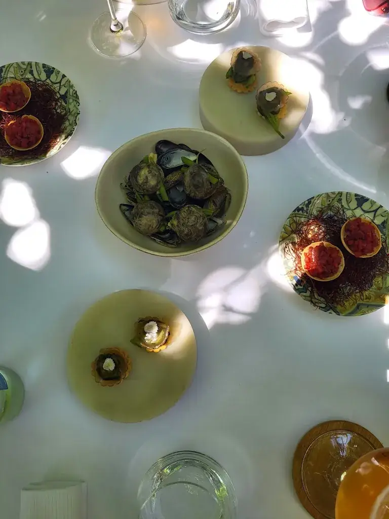 HAL 2061_Roselières_Saujon_review