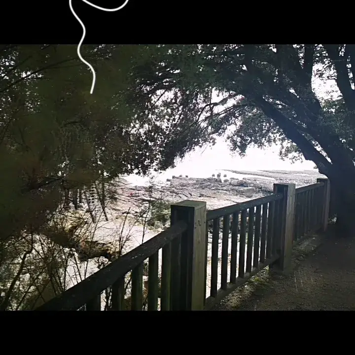 Logis Hôtel le Saint Savinien restaurant in Saint-Savinien