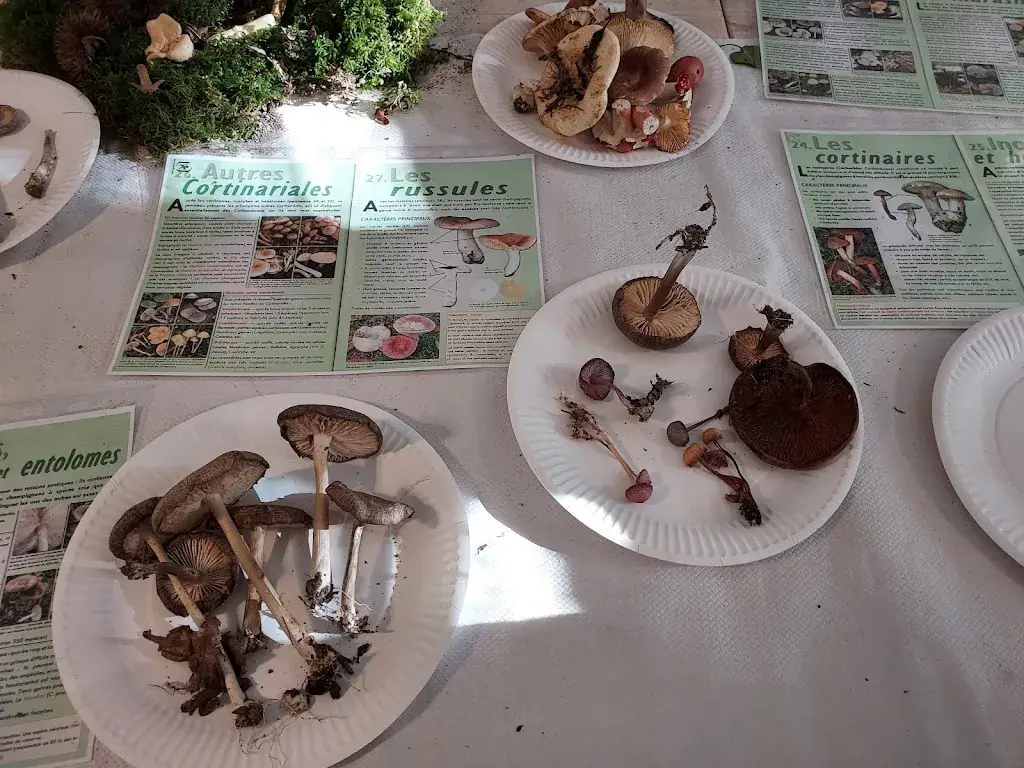 Menu_Le Gabarier_Port-d'Envaux_image_6