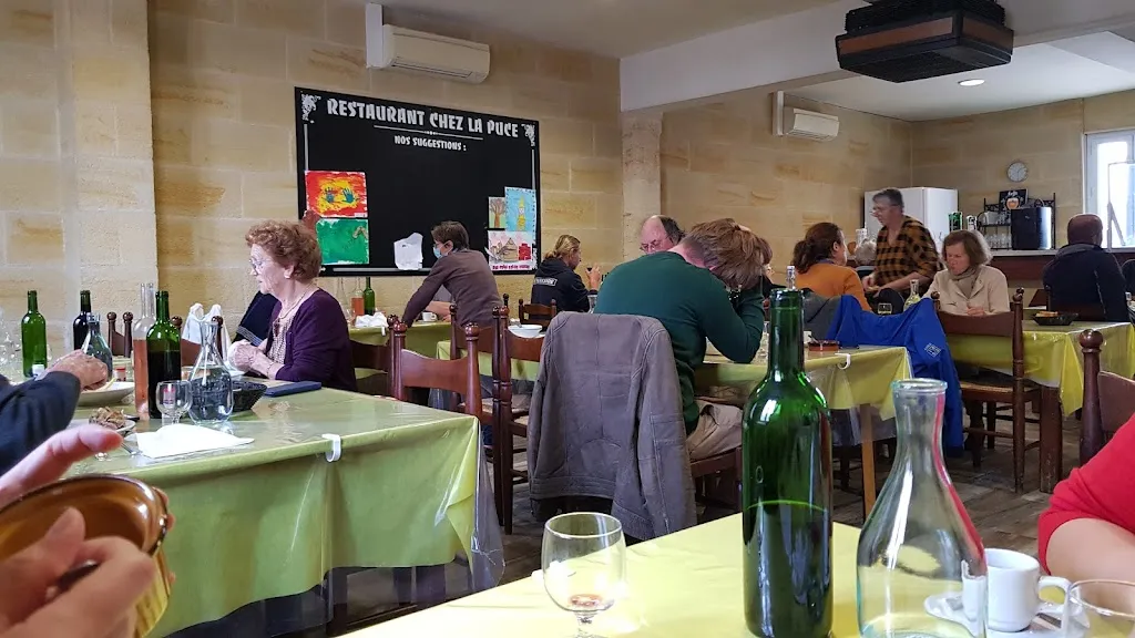 Lavinia Plătică_La Puce_Saint-Sulpice-de-Faleyrens_review