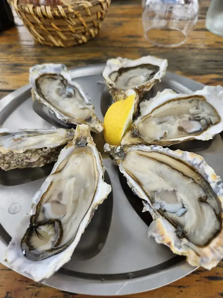 Lamia Lauar_Kayak Café_Saint-Vivien-de-Médoc_review