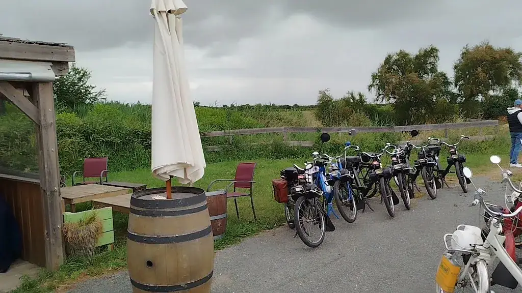 Kayak Café_Saint-Vivien-de-Médoc_slider_image_2