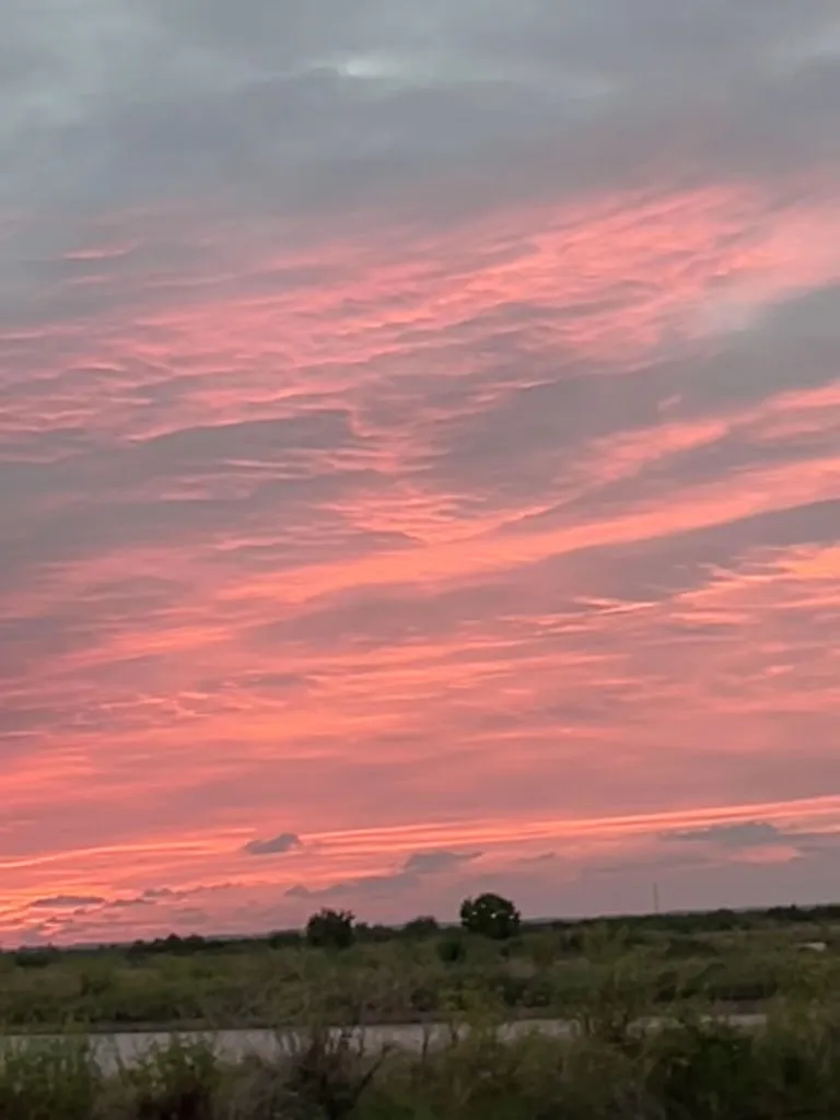 Etienne Labastie_La Petite Canau_Saint-Vivien-de-Médoc_recensione
