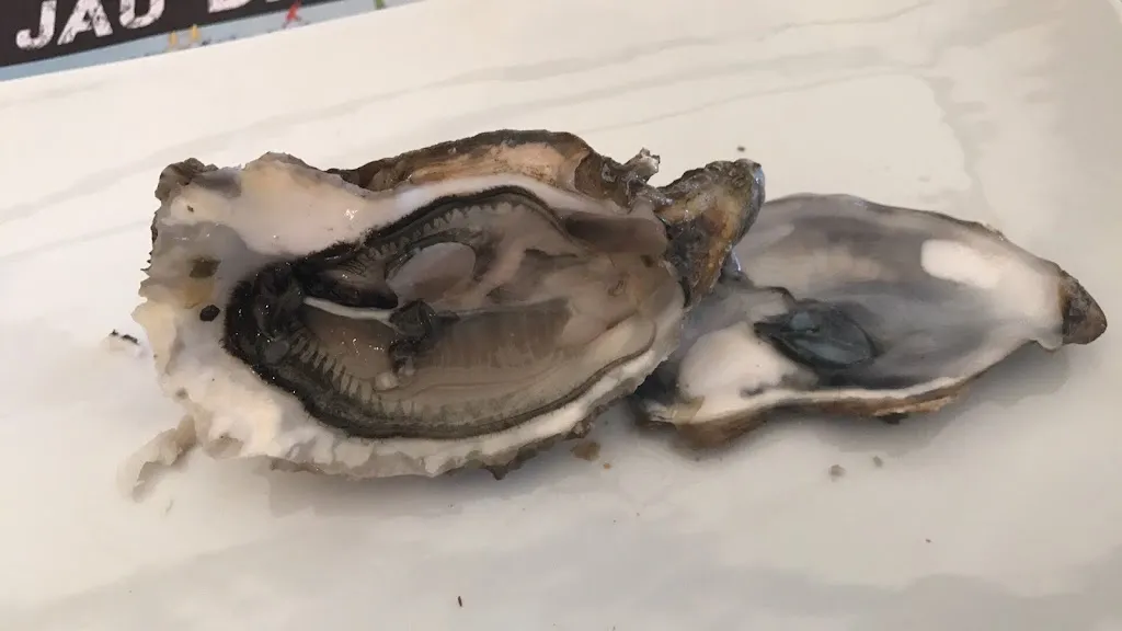 Steve Bailey_Le cabanon du pecheur_Saint-Vivien-de-Médoc_review