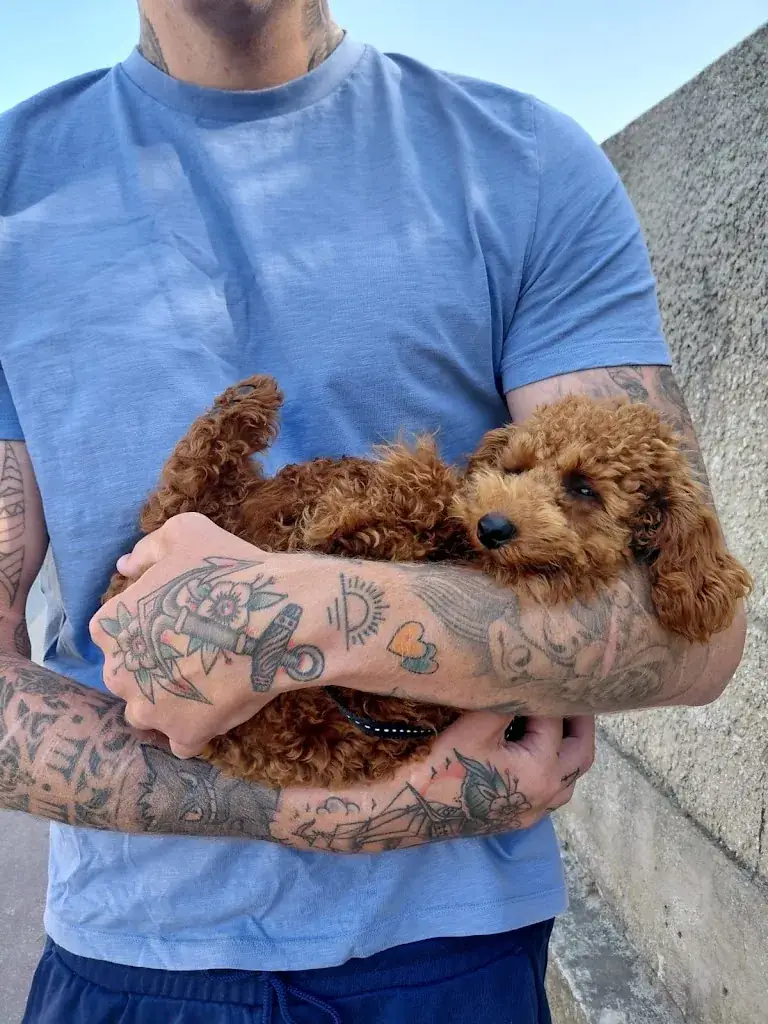 Lucas_Chez Tess_Saint-Vivien-de-Médoc_recensione