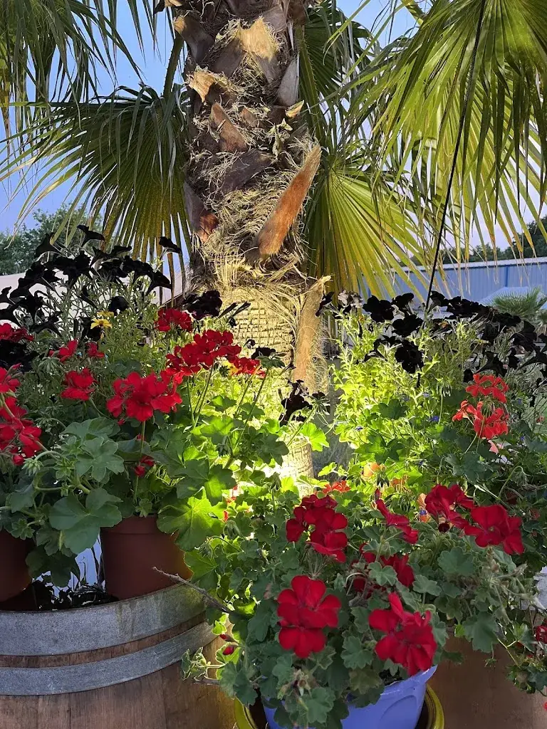 Stefan Neumeyer_Le Grand Buffet de la Bodeguita_Saint-Vivien-de-Médoc_review