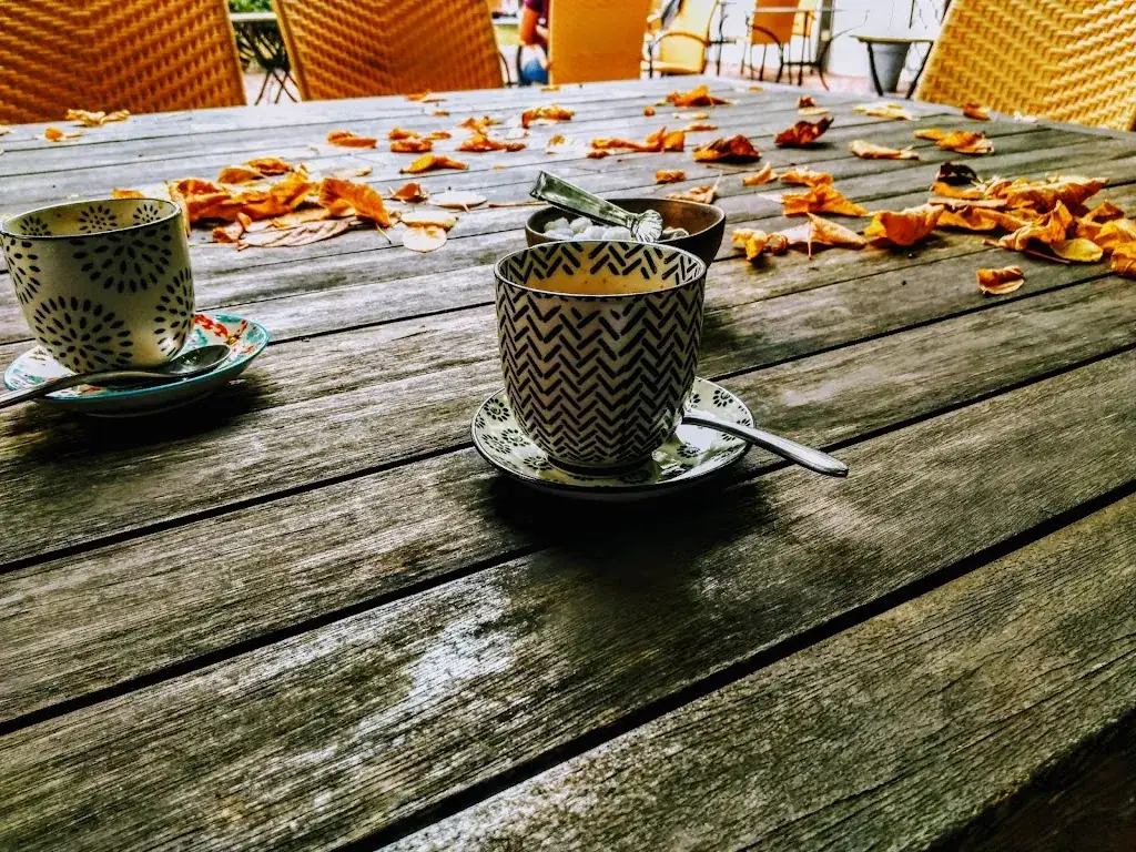 Menu_Le Hittau_Saint-Vincent-de-Tyrosse_image_9