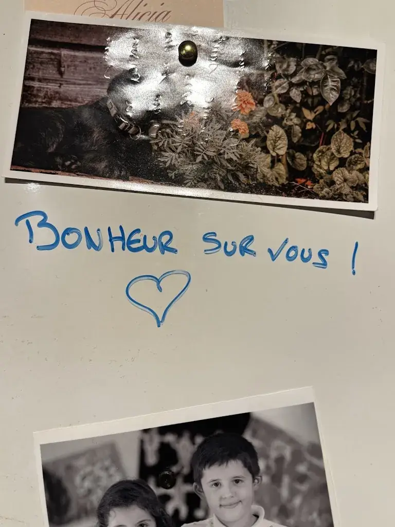 Jérémy Combes_Restaurant Bistro 