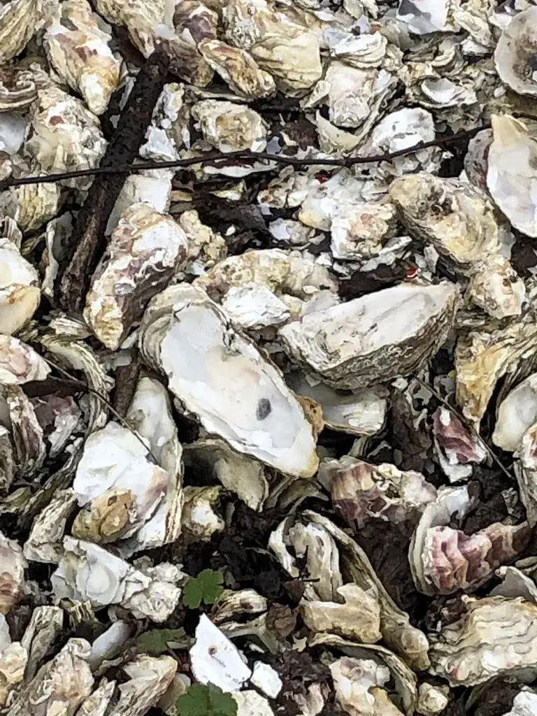 Laszlo Hollo_Le Jardin Romain_Saint-Trojan-les-Bains_review