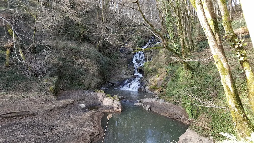 Rhodde Rene ristorante a Sainte-Féréole
