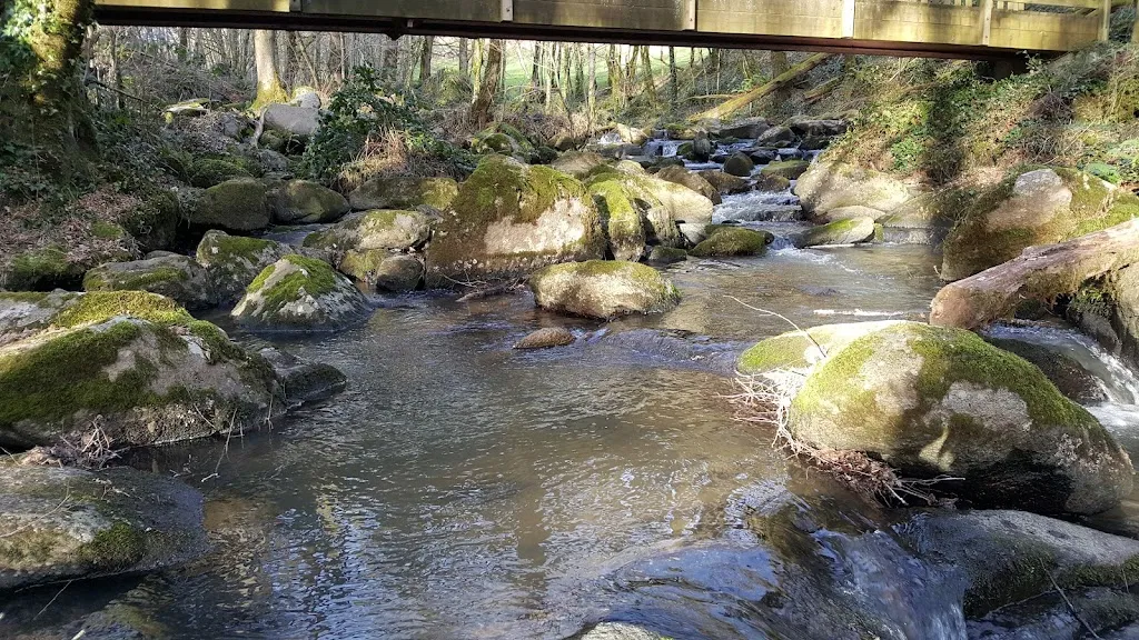 Rhodde Rene_Sainte-Féréole_slider_image_2