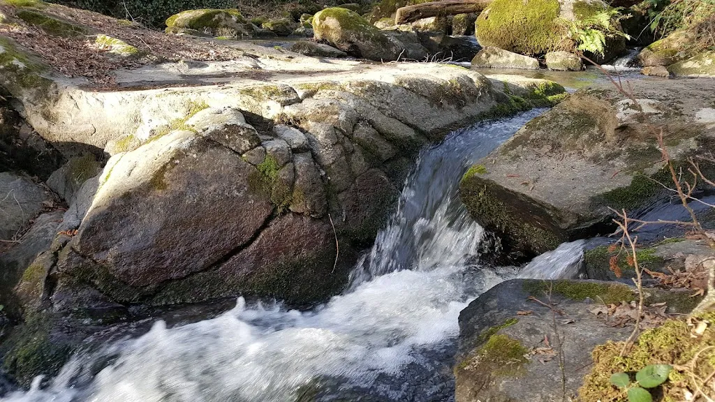 Rhodde Rene_Sainte-Féréole_slider_image_3