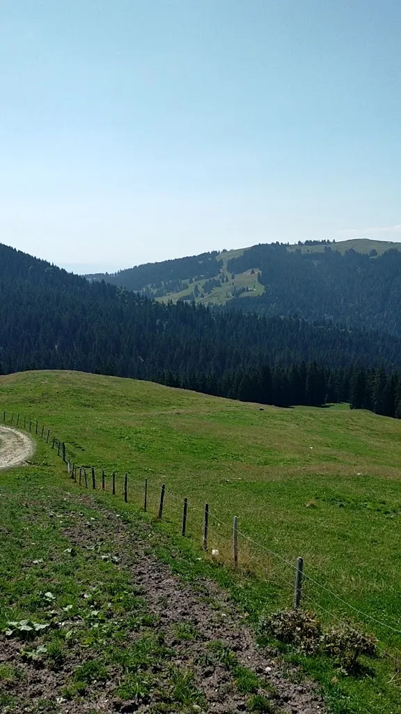 Oscar Valsangiacomo_Buvette du Gros Plané_Moléson-sur-Gruyères_review