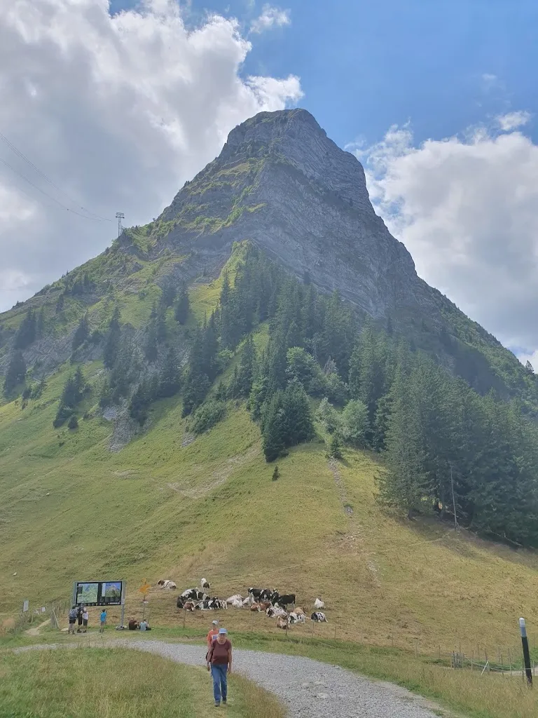 Michael “Mich” Corbat_Buvette du Gros Plané_Moléson-sur-Gruyères_review