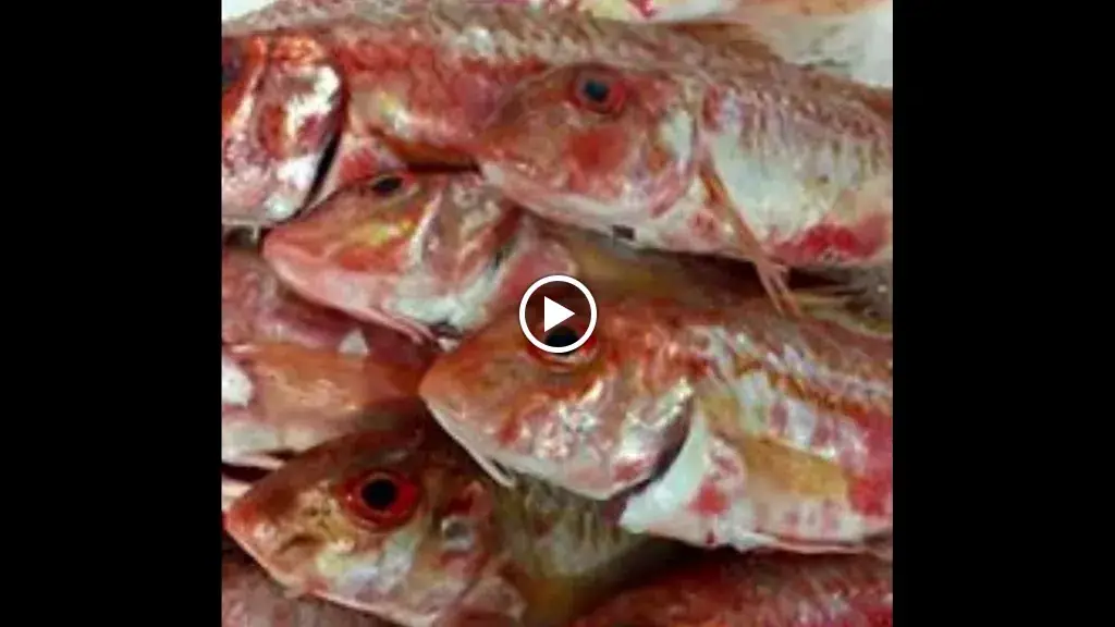 Restaurant Le Chai_Sainte-Marie-de-Ré_slider_image_2