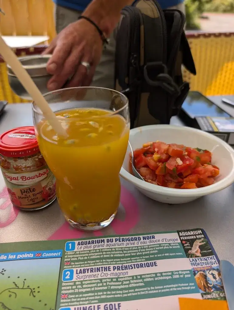 Katie Dijoux_La case créole_Borrèze_review