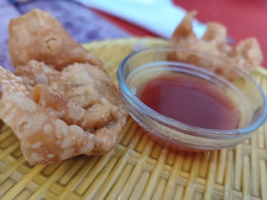 osterzon p_VIET NAM RESTAURANT_Salies-de-Béarn_review