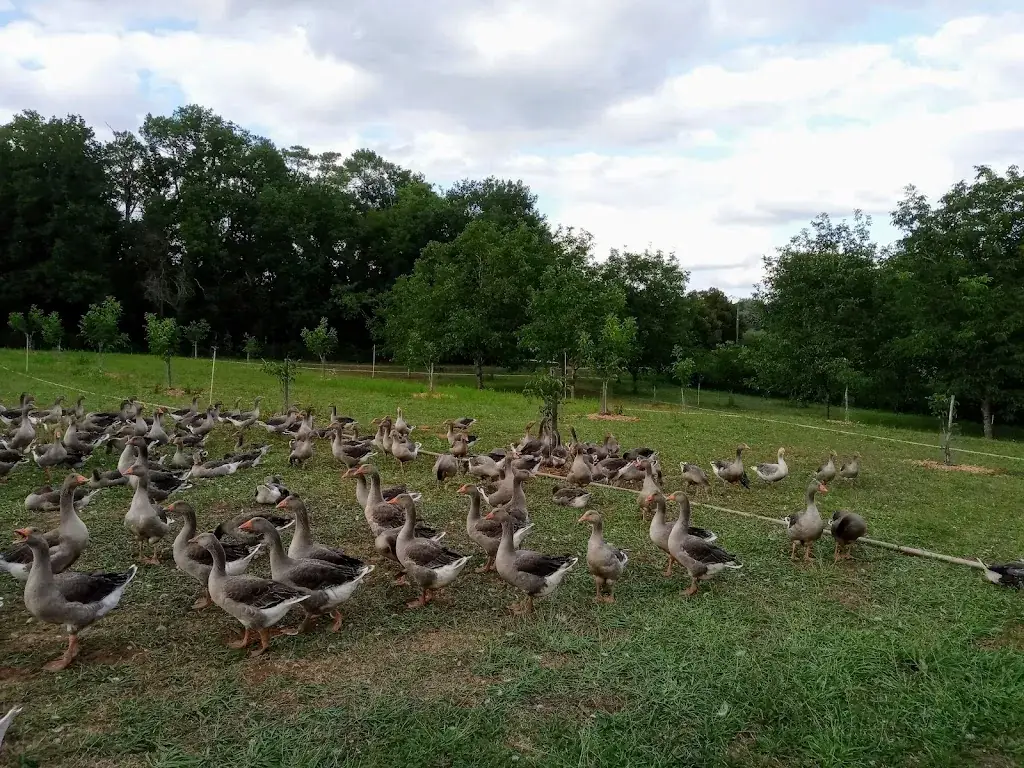 FERME DE LA GARRIGUE HAUTE Sarl_Prats-de-Carlux_slider_image_3