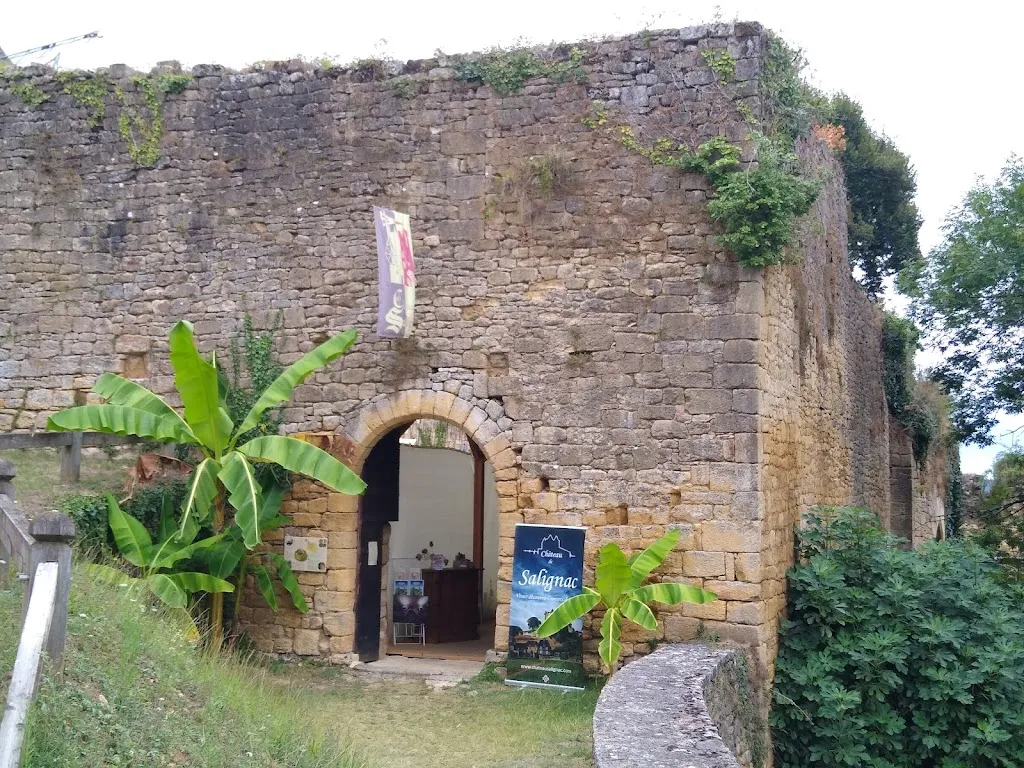 Ted Forgan_Château de Salignac_Salignac-Eyvigues_review