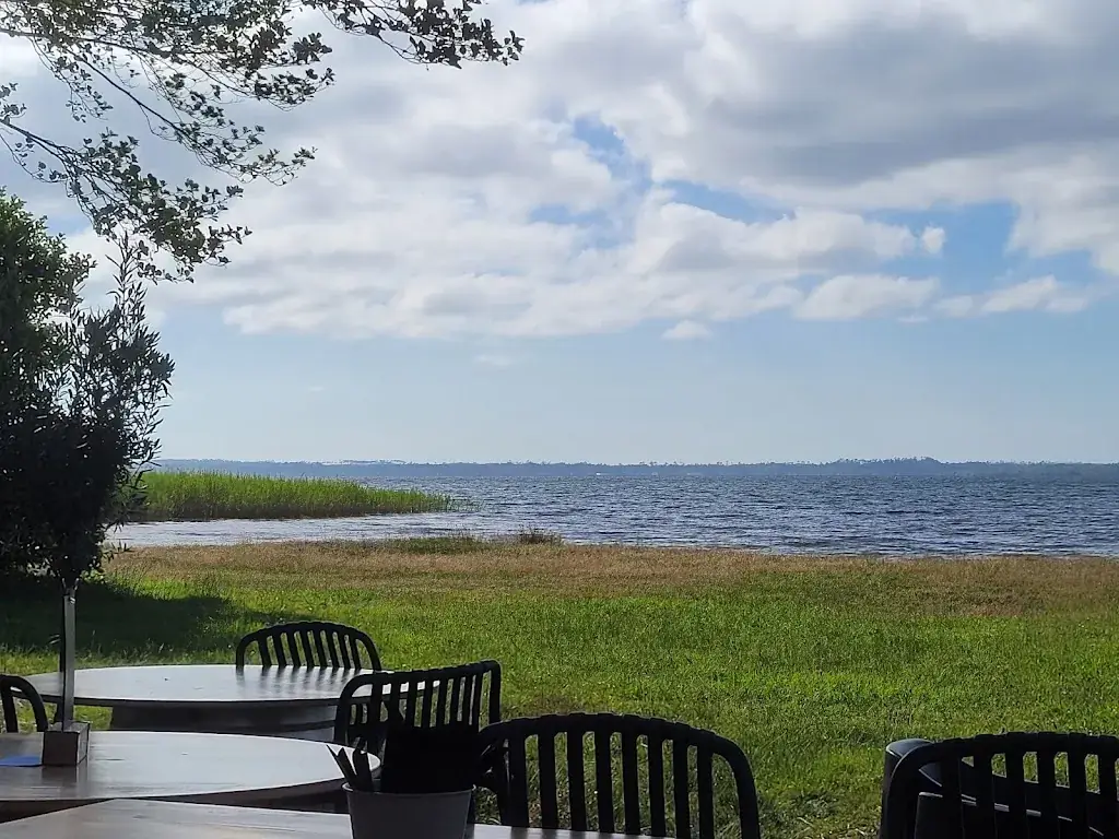 Damian Haier_Paillote La Pigne_Sanguinet_recensione