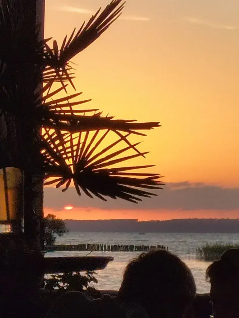 emilie pejoiane_Le Patio Sanguinet_Sanguinet_review